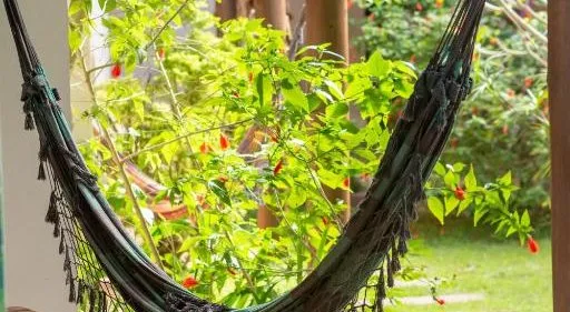 Rede na varanda com vista para o jardim
