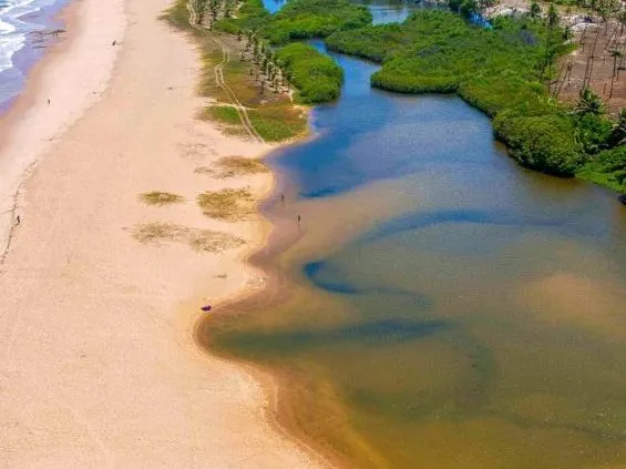 Vista da costa e da vegetação