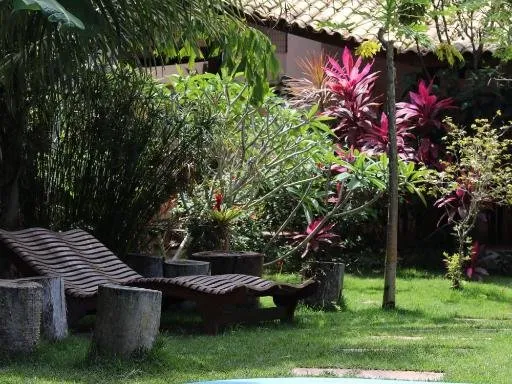 Piscina e vegetação tropical
